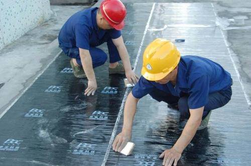 哪個品牌的防潮止漏建筑涂料好?